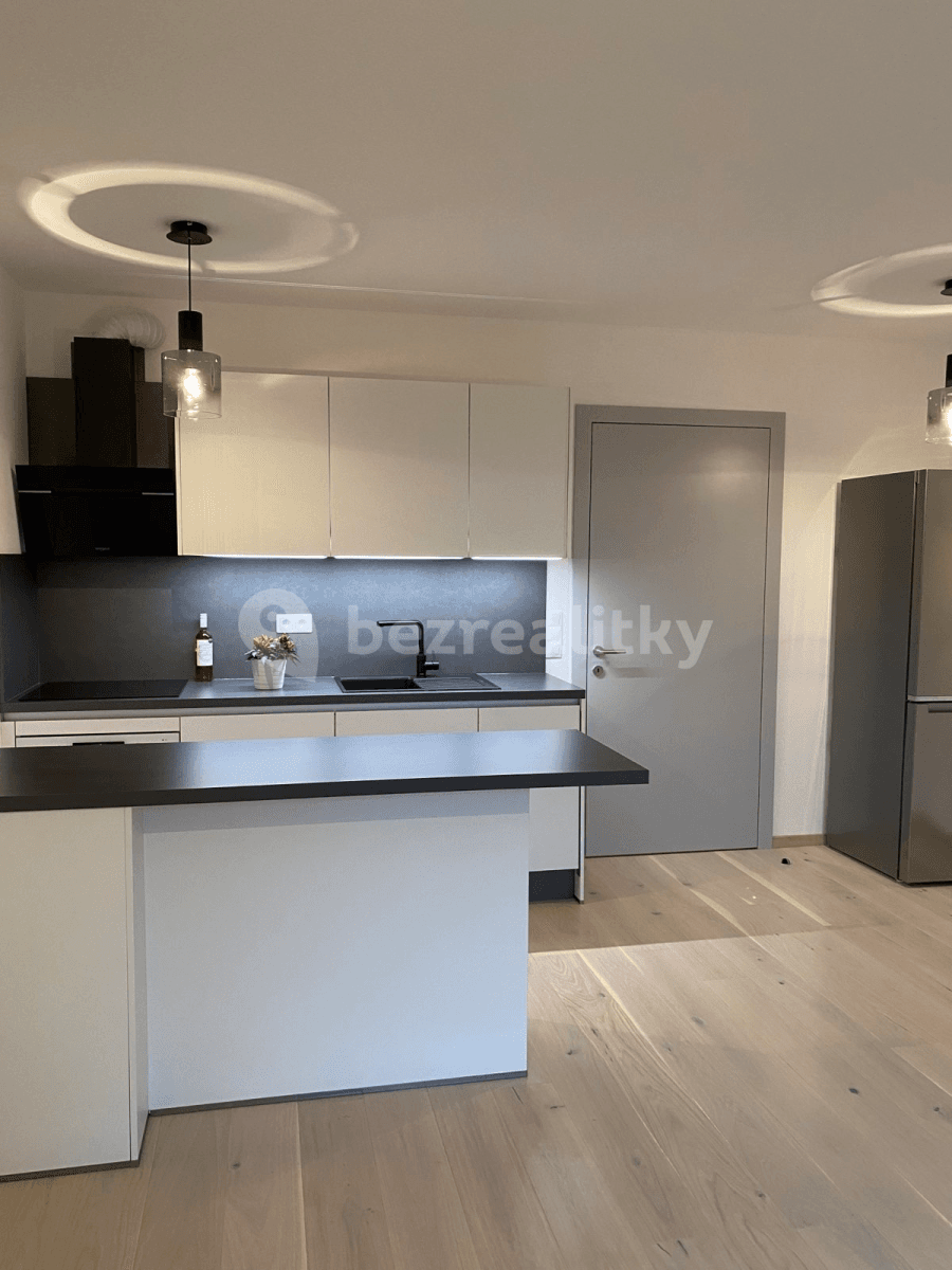 1 bedroom with open-plan kitchen flat to rent, 45 m², Ringhofferova, Kamenice, Středočeský Region