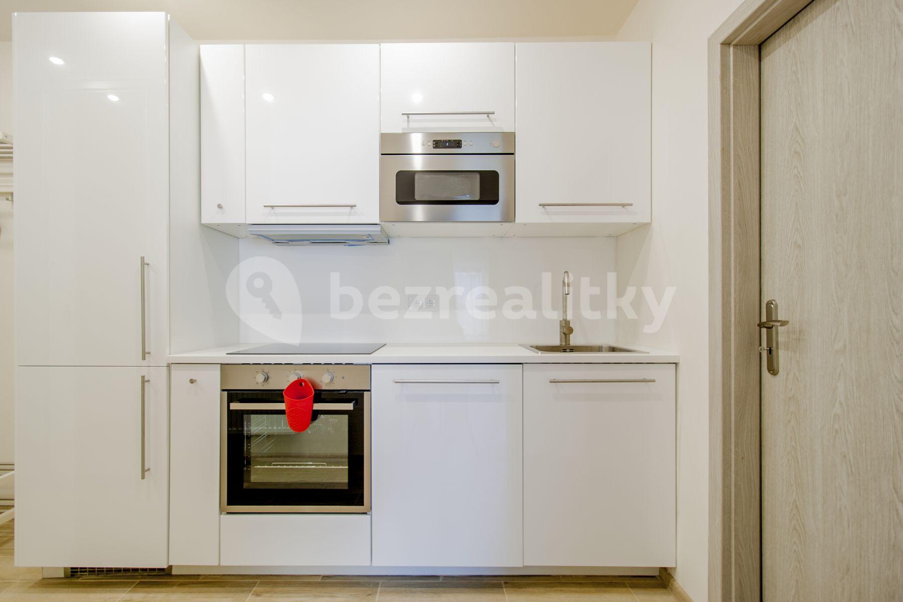 Studio flat to rent, 36 m², Václavské náměstí, Prague, Prague