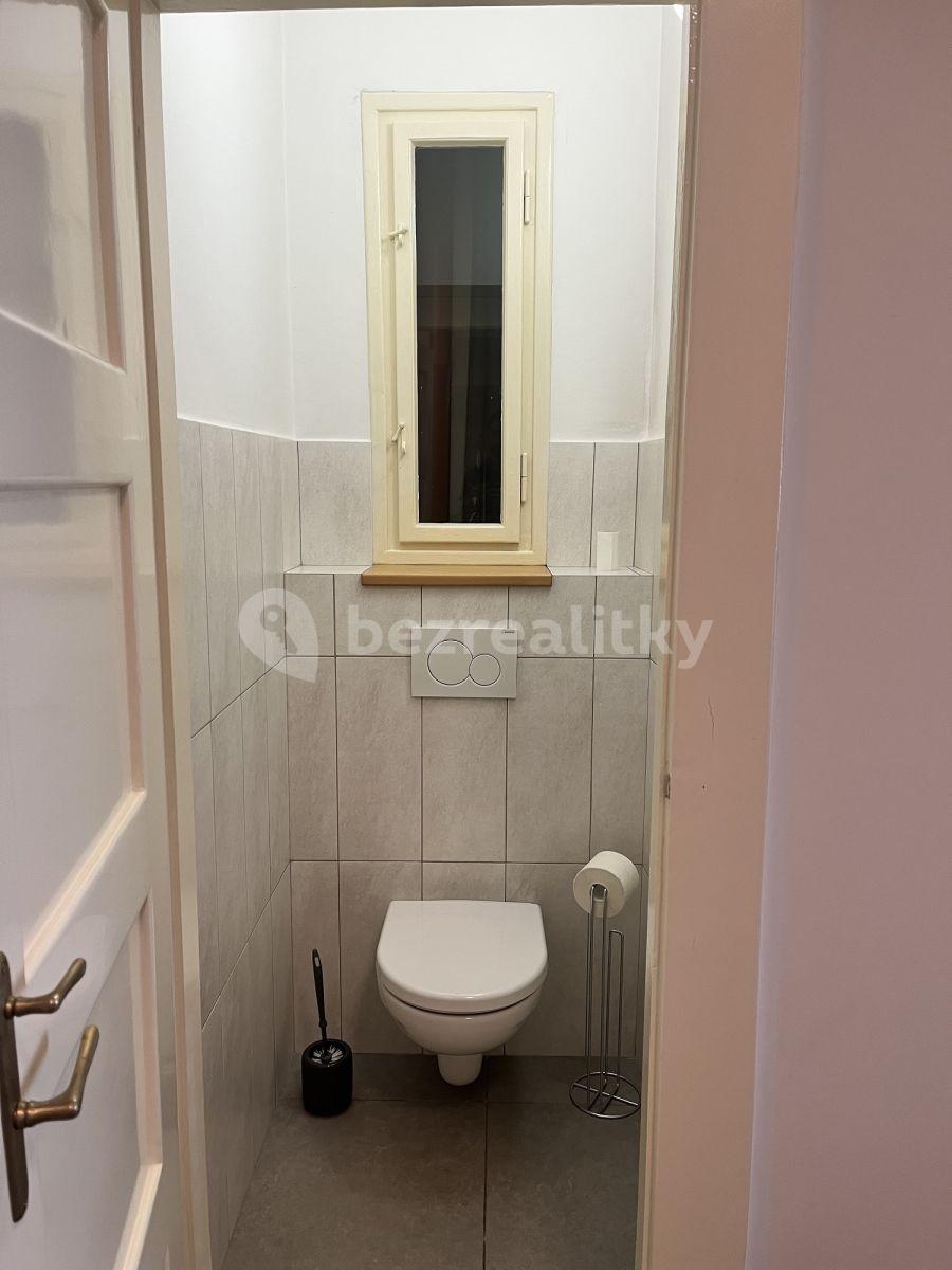 1 bedroom with open-plan kitchen flat to rent, 53 m², Čajkovského, Prague, Prague