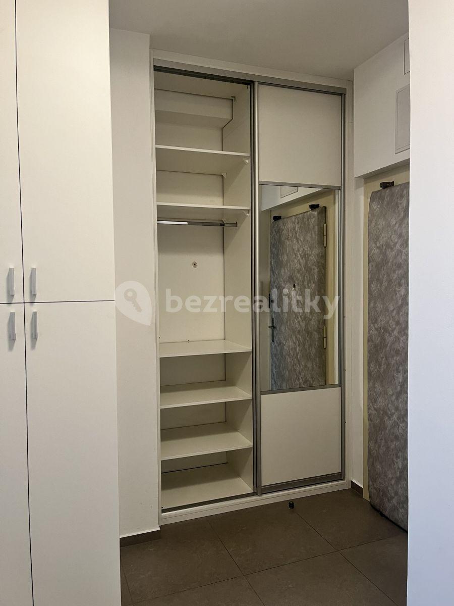 1 bedroom with open-plan kitchen flat to rent, 53 m², Čajkovského, Prague, Prague