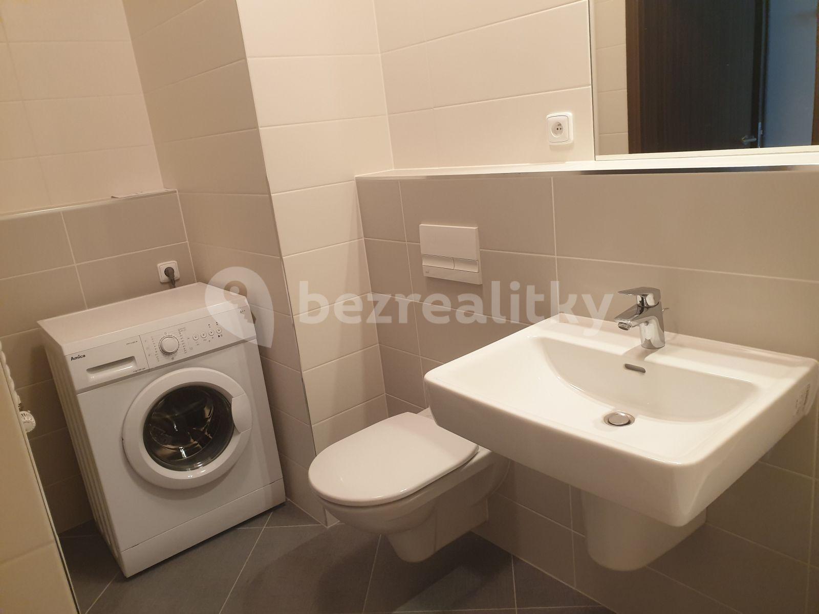 Studio flat to rent, 26 m², Vítové, Prague, Prague