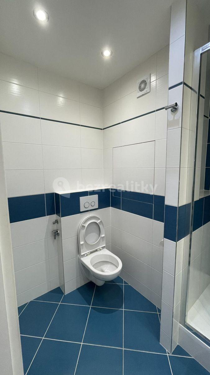 1 bedroom with open-plan kitchen flat to rent, 42 m², Růženínská, Prague, Prague