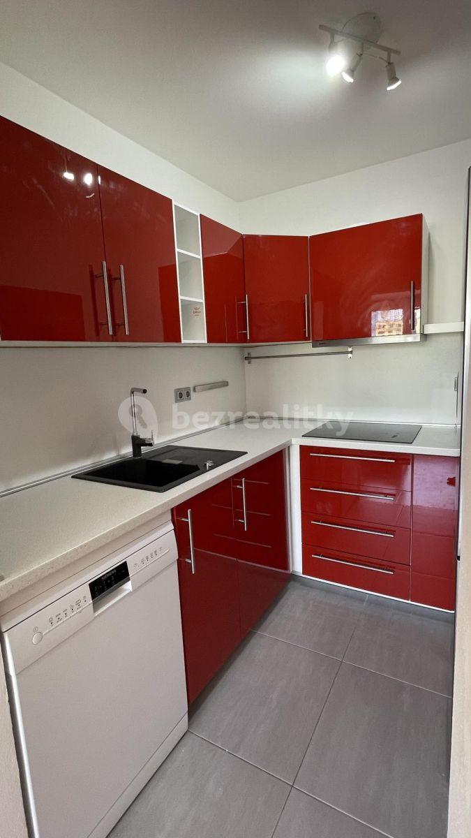 1 bedroom with open-plan kitchen flat to rent, 42 m², Růženínská, Prague, Prague