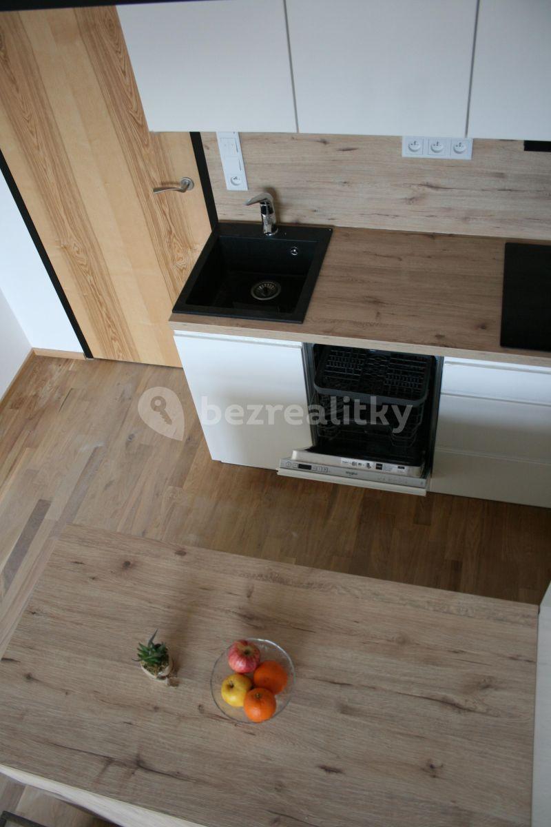 1 bedroom with open-plan kitchen flat to rent, 60 m², Ambrožova, Prague, Prague