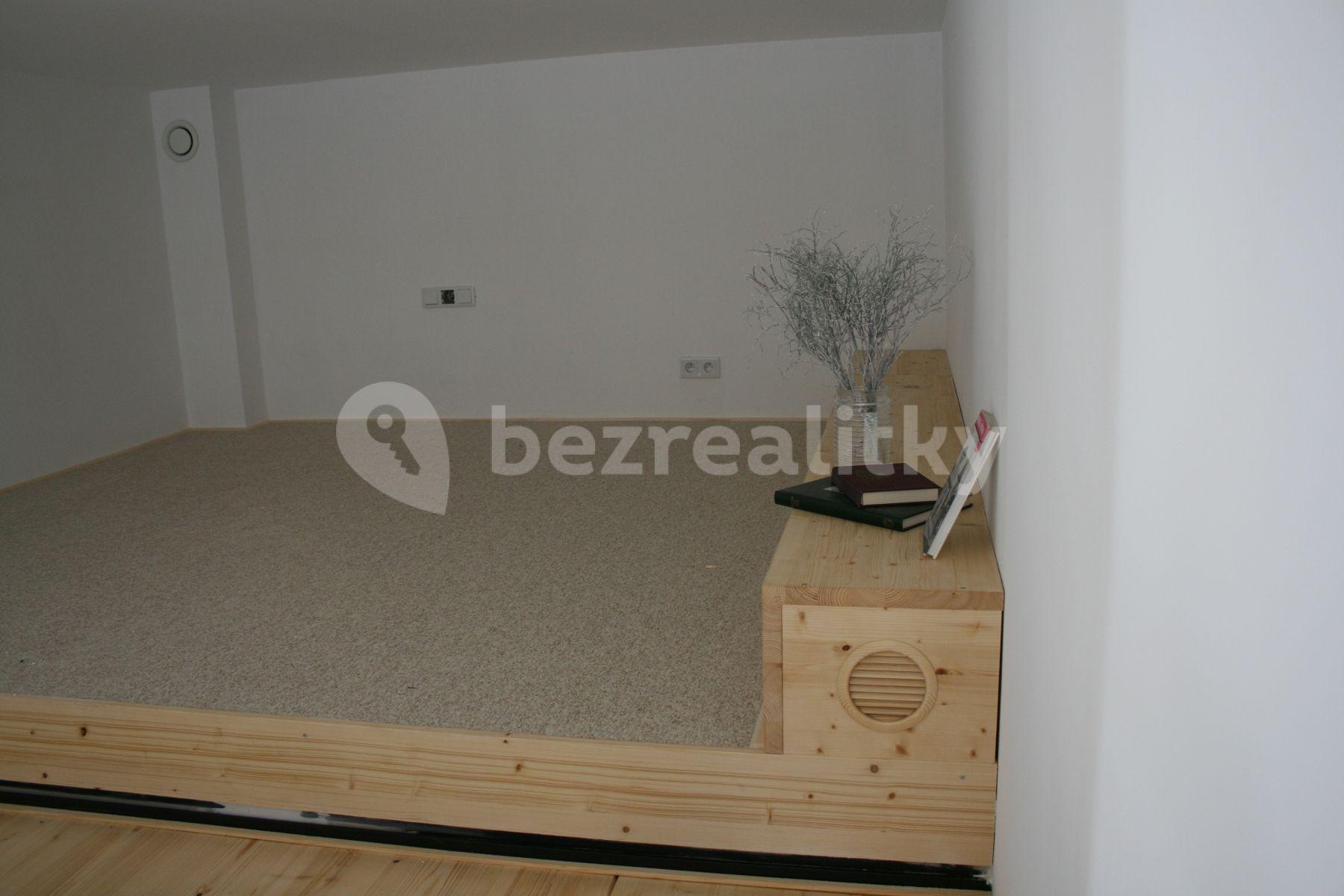 1 bedroom with open-plan kitchen flat to rent, 60 m², Ambrožova, Prague, Prague