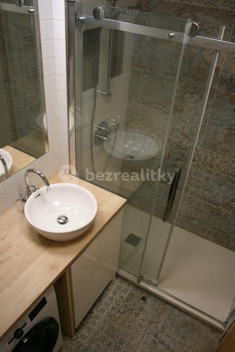 1 bedroom with open-plan kitchen flat to rent, 60 m², Ambrožova, Prague, Prague