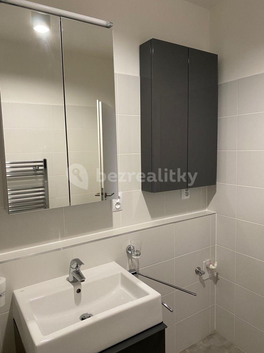 1 bedroom with open-plan kitchen flat to rent, 56 m², K Meteoru, Hradec Králové, Královéhradecký Region