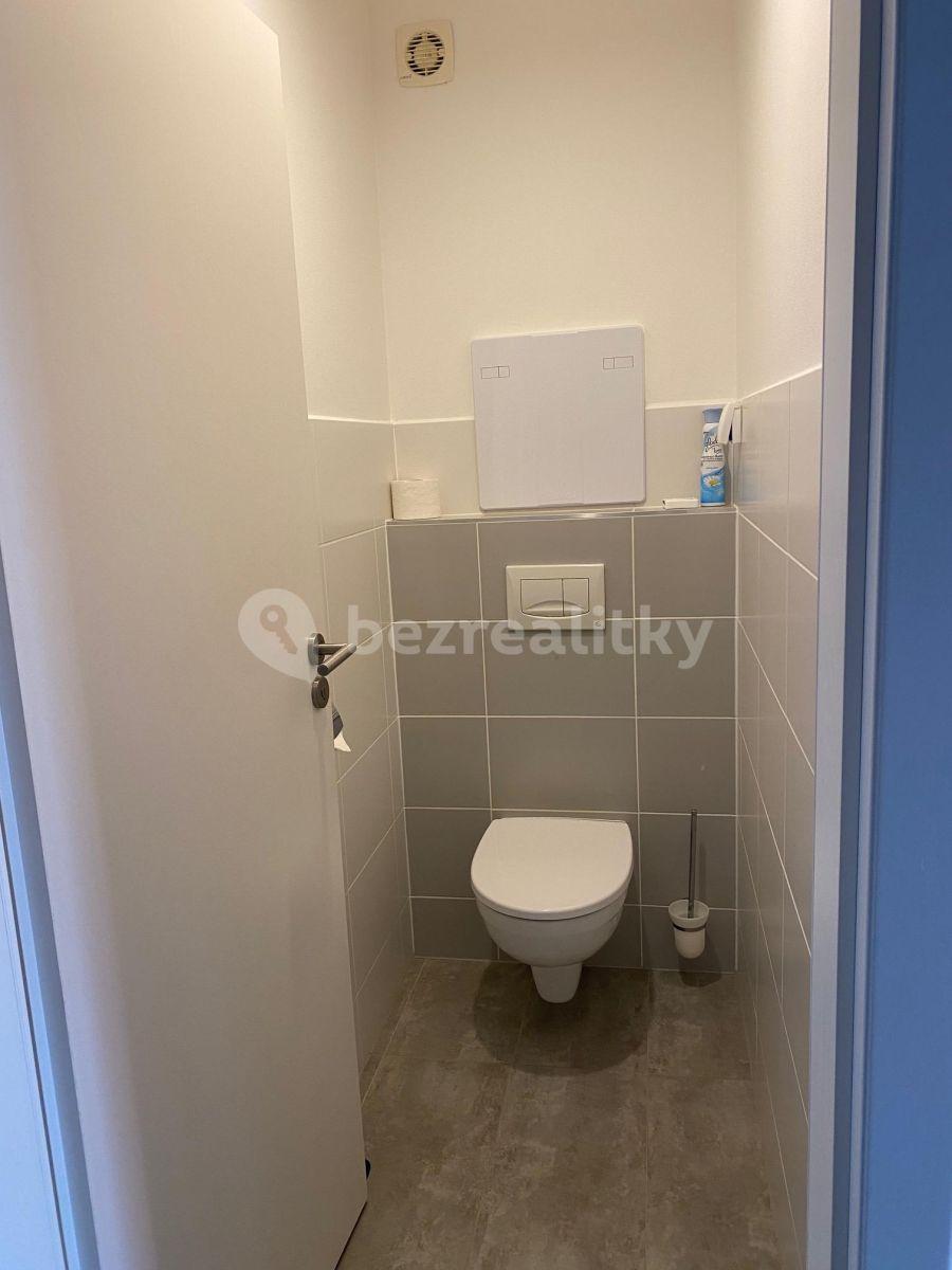 1 bedroom with open-plan kitchen flat to rent, 56 m², K Meteoru, Hradec Králové, Královéhradecký Region