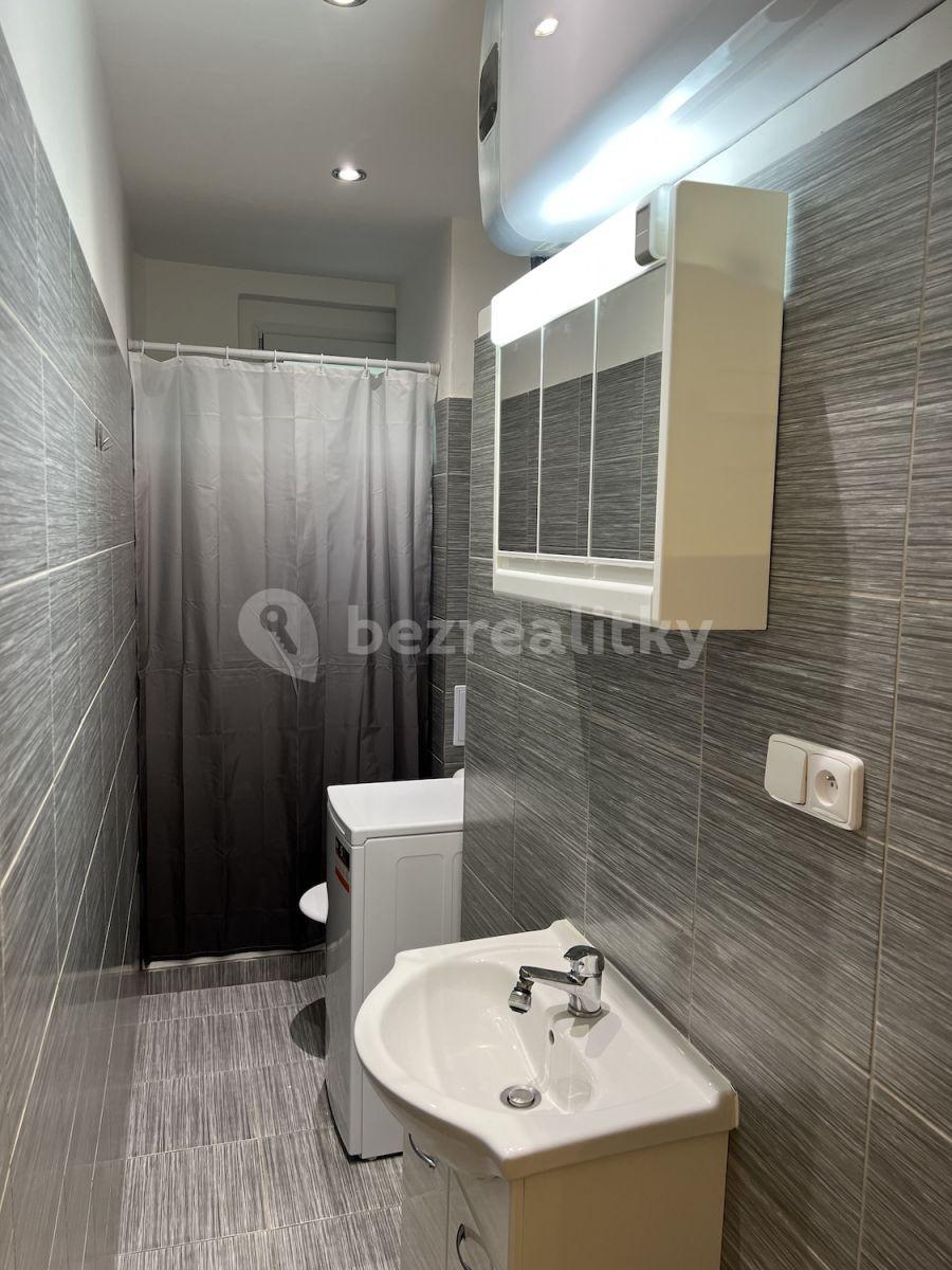 1 bedroom with open-plan kitchen flat to rent, 43 m², Svojsíkova, Prague, Prague