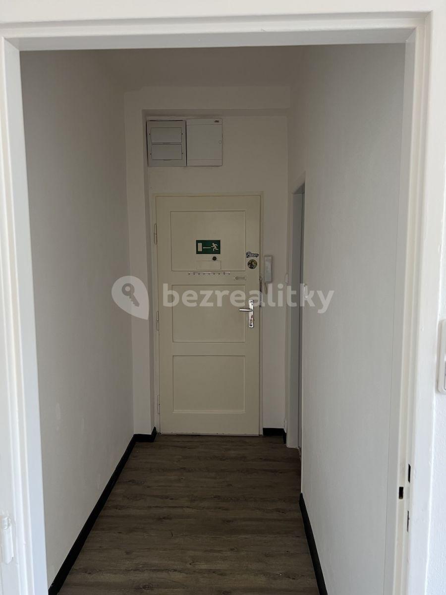 1 bedroom with open-plan kitchen flat to rent, 43 m², Svojsíkova, Prague, Prague