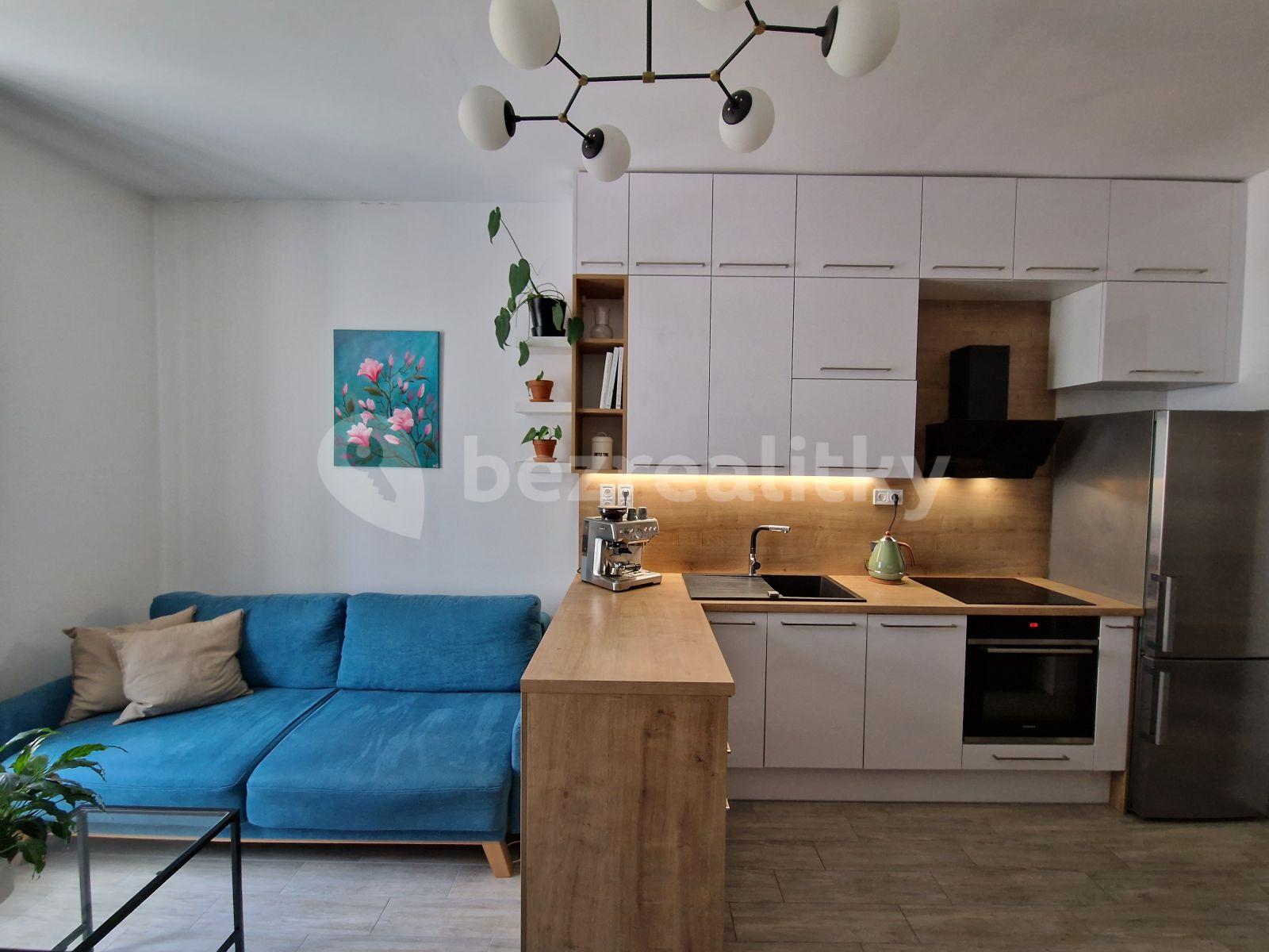 1 bedroom with open-plan kitchen flat to rent, 43 m², Mečislavova, Prague, Prague