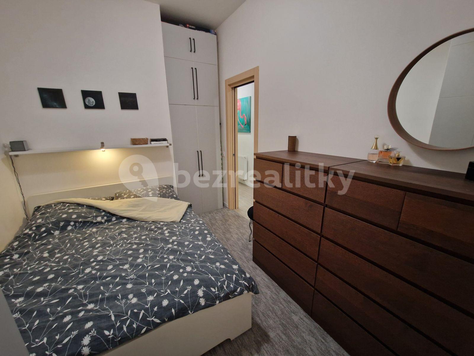 1 bedroom with open-plan kitchen flat to rent, 43 m², Mečislavova, Prague, Prague