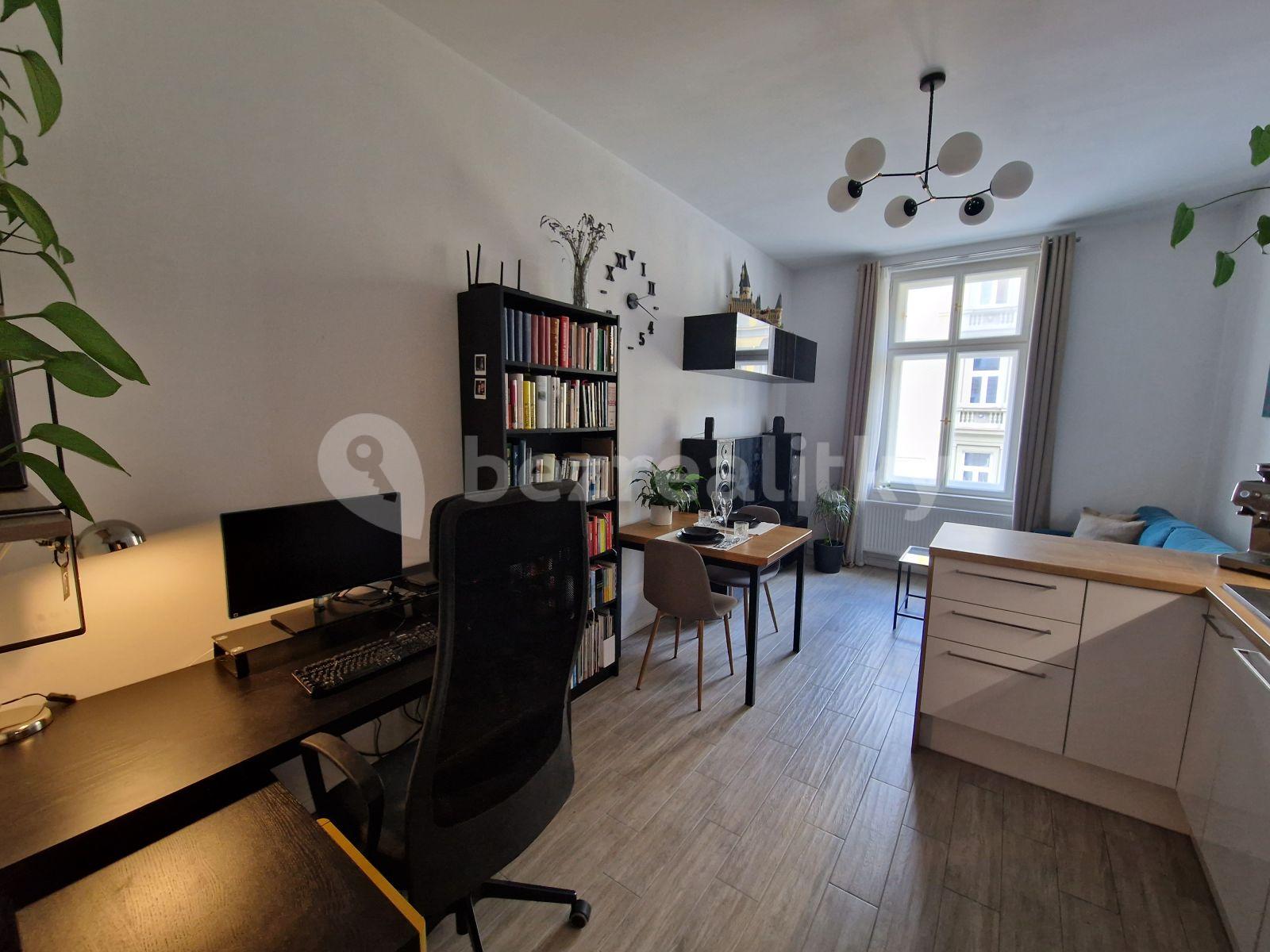 1 bedroom with open-plan kitchen flat to rent, 43 m², Mečislavova, Prague, Prague