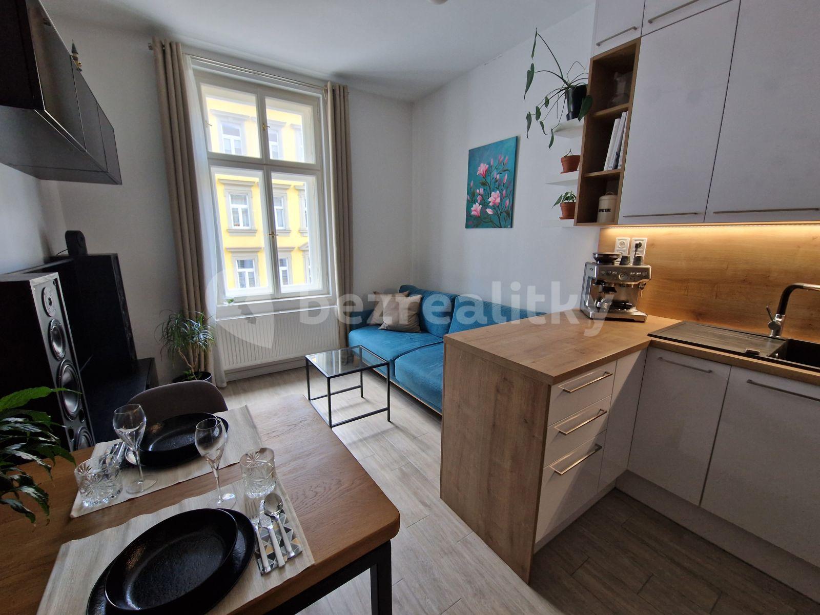 1 bedroom with open-plan kitchen flat to rent, 43 m², Mečislavova, Prague, Prague