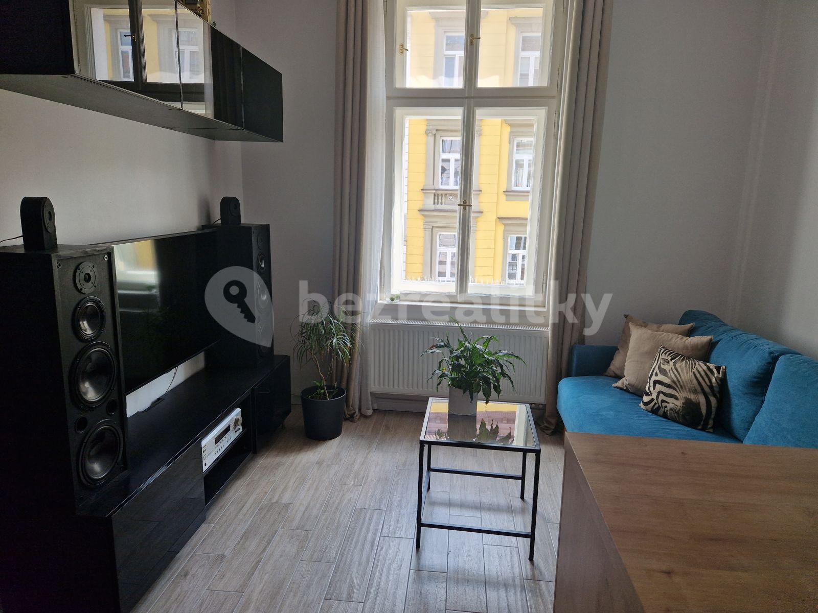 1 bedroom with open-plan kitchen flat to rent, 43 m², Mečislavova, Prague, Prague