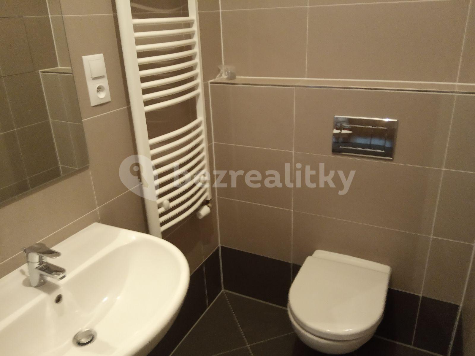 1 bedroom with open-plan kitchen flat to rent, 63 m², Toufarova, Prague, Prague