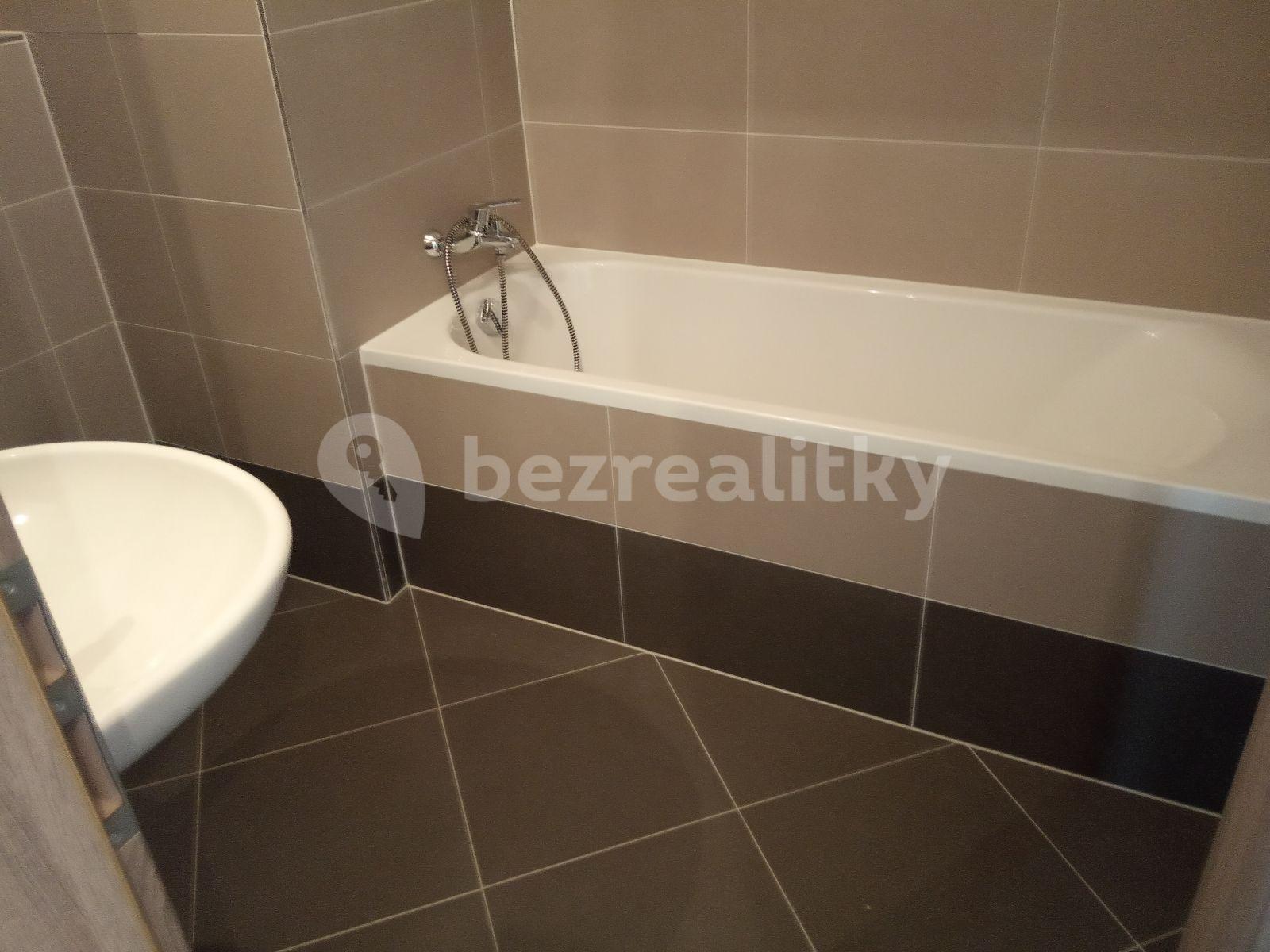 1 bedroom with open-plan kitchen flat to rent, 63 m², Toufarova, Prague, Prague