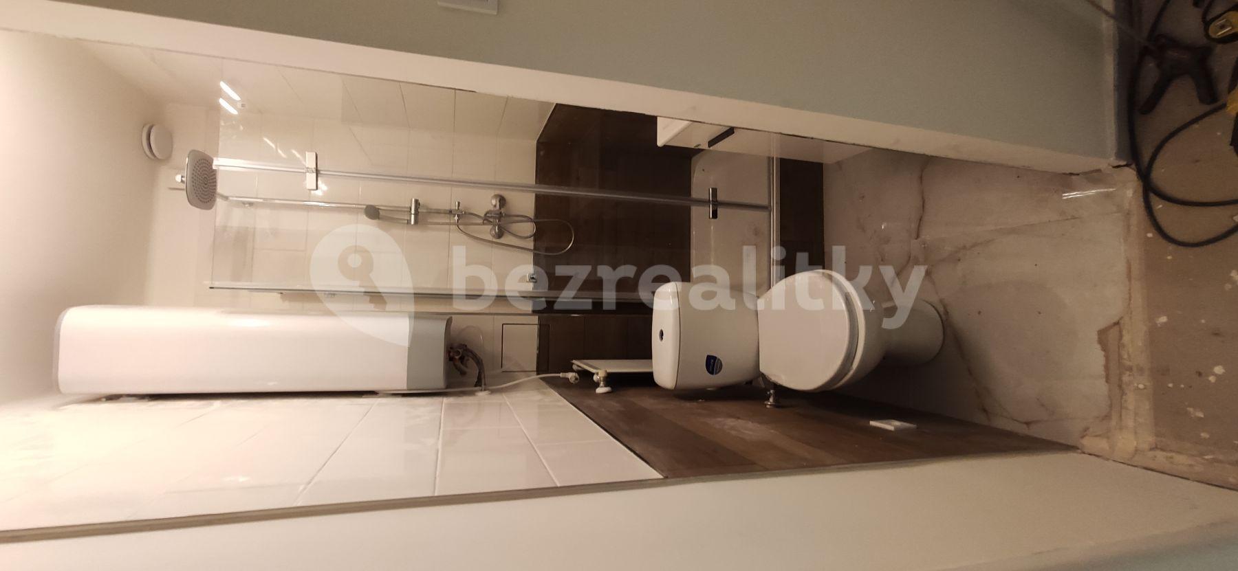 Studio flat to rent, 35 m², Sluhy, Středočeský Region