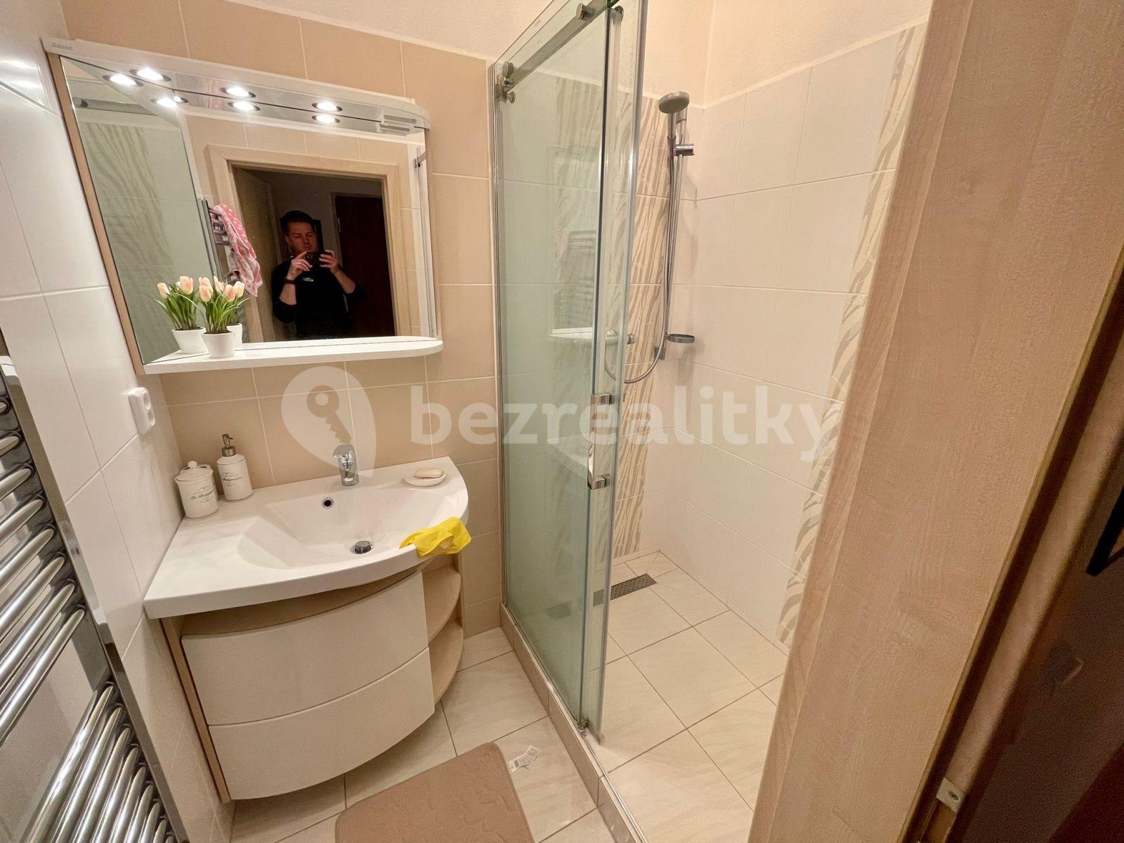 1 bedroom with open-plan kitchen flat to rent, 54 m², B. Smetany, České Budějovice, Jihočeský Region