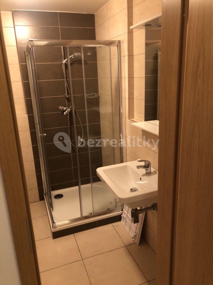 Studio flat to rent, 31 m², Kakosova, Prague, Prague