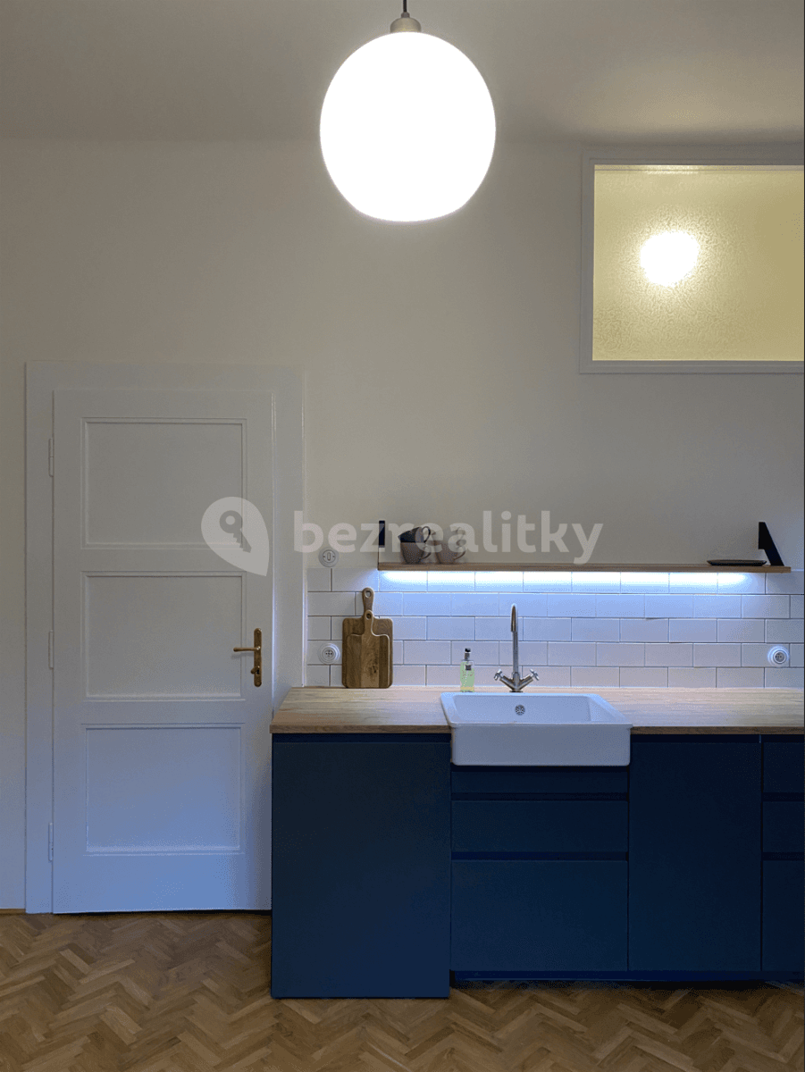 1 bedroom with open-plan kitchen flat to rent, 43 m², M. J. Lermontova, Prague, Prague