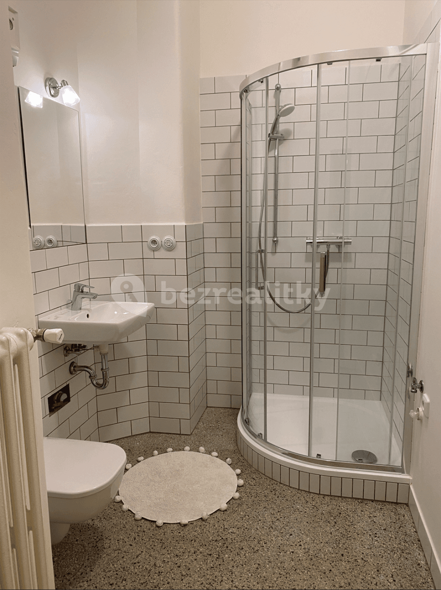 1 bedroom with open-plan kitchen flat to rent, 43 m², M. J. Lermontova, Prague, Prague