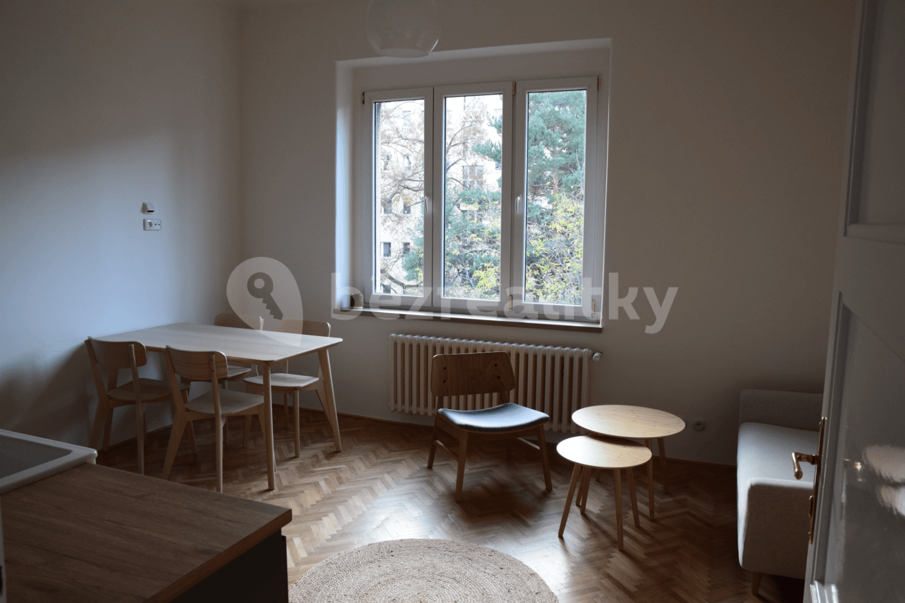 1 bedroom with open-plan kitchen flat to rent, 43 m², M. J. Lermontova, Prague, Prague