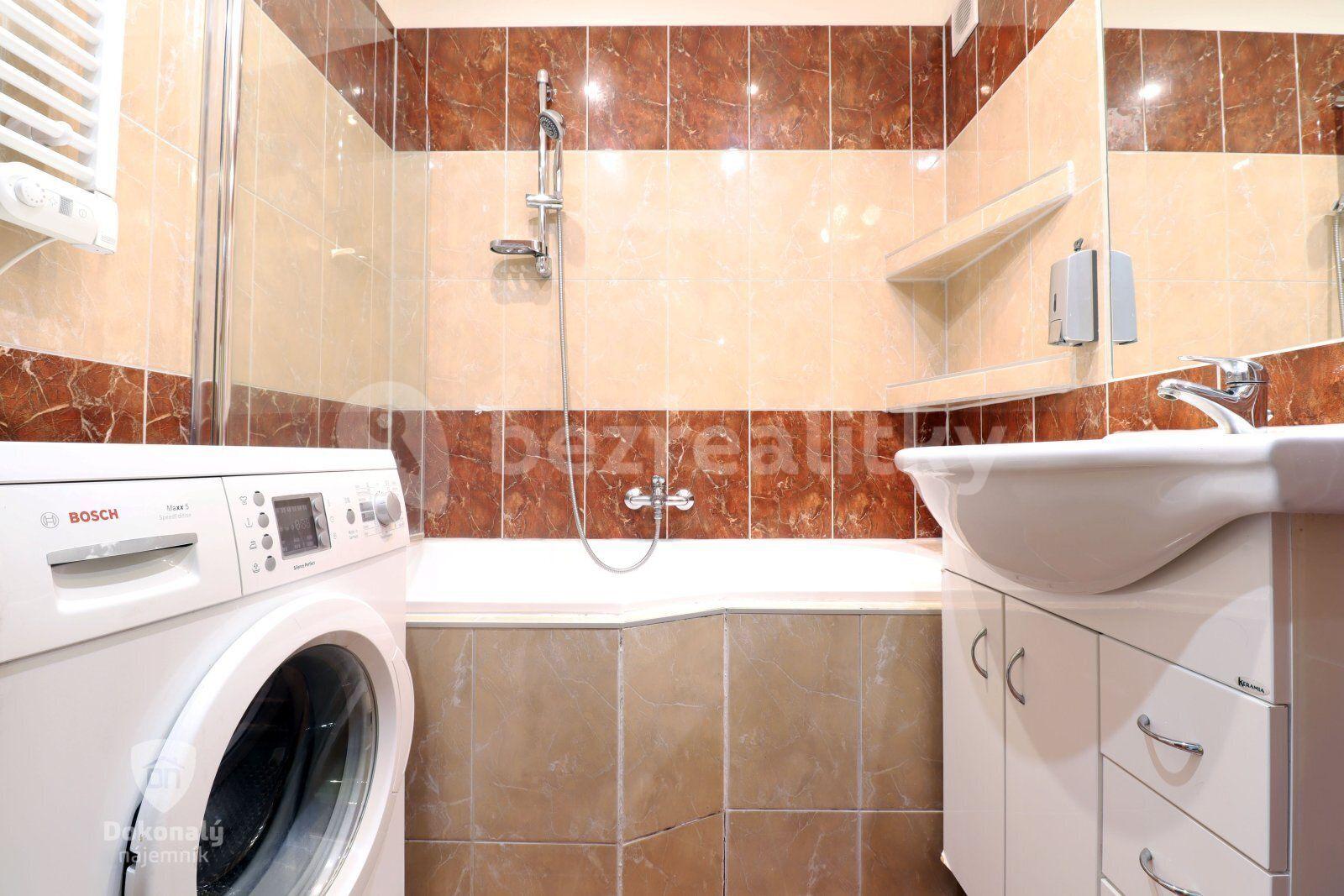 2 bedroom with open-plan kitchen flat to rent, 60 m², Tererova, Prague, Prague