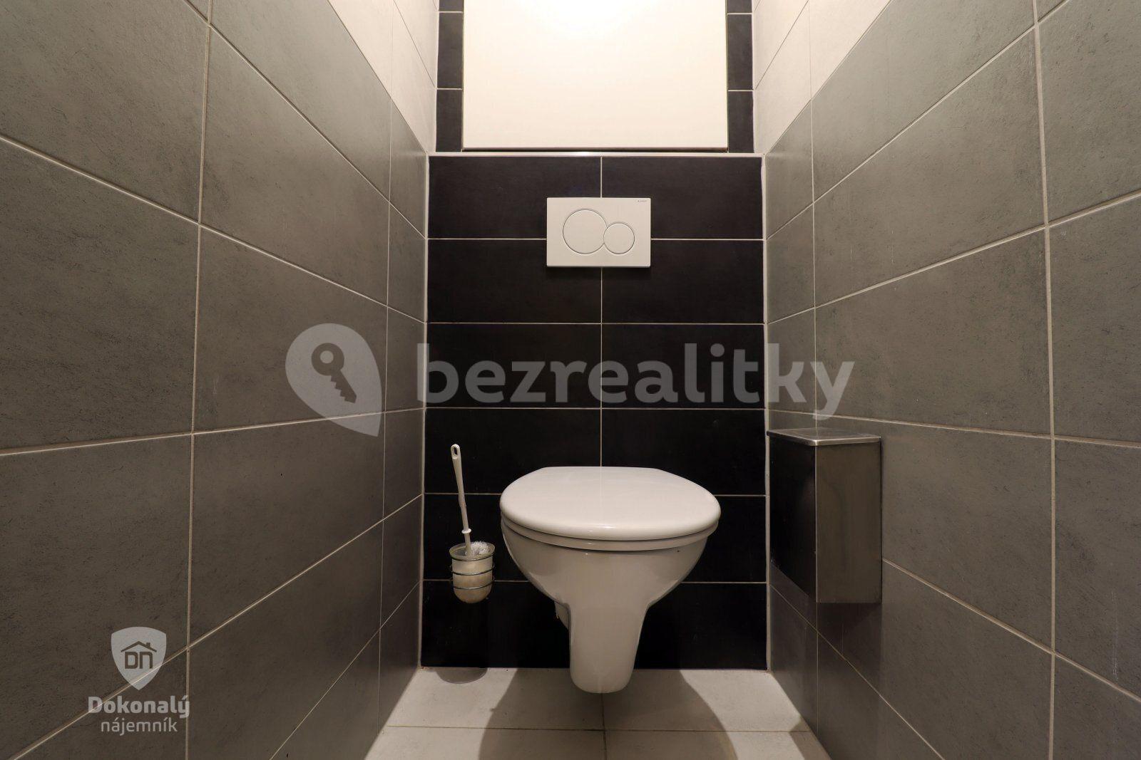 2 bedroom with open-plan kitchen flat to rent, 60 m², Tererova, Prague, Prague