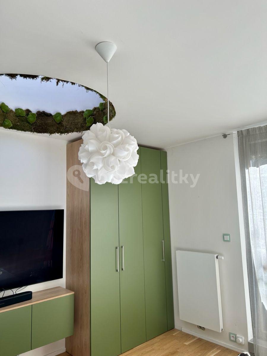 1 bedroom with open-plan kitchen flat to rent, 57 m², Holečkova, Prague, Prague