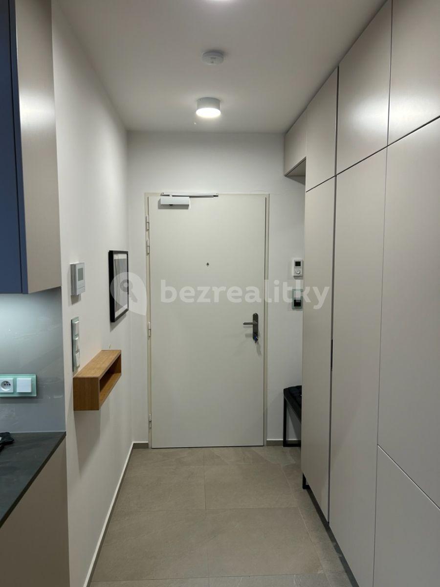 1 bedroom with open-plan kitchen flat to rent, 57 m², Holečkova, Prague, Prague