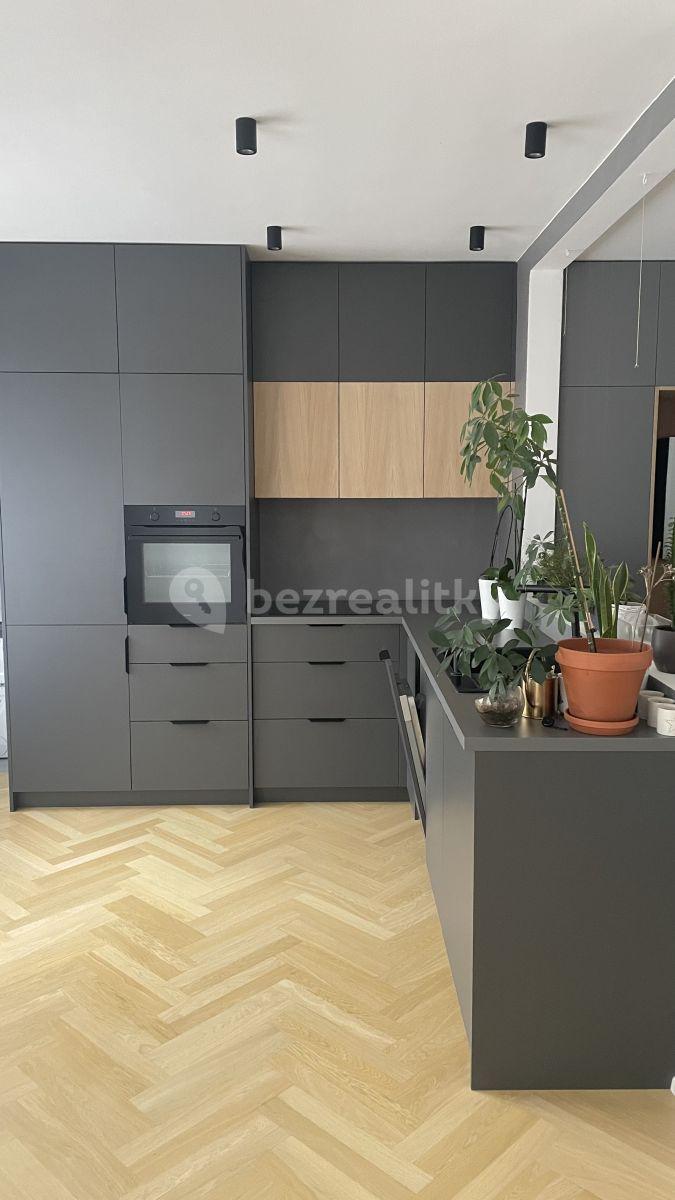 1 bedroom with open-plan kitchen flat to rent, 52 m², Šmeralova, Prague, Prague