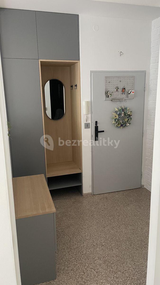 1 bedroom with open-plan kitchen flat to rent, 52 m², Šmeralova, Prague, Prague