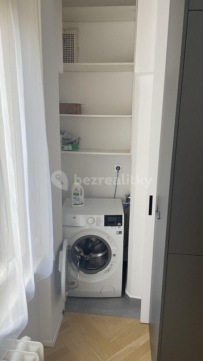 1 bedroom with open-plan kitchen flat to rent, 52 m², Šmeralova, Prague, Prague