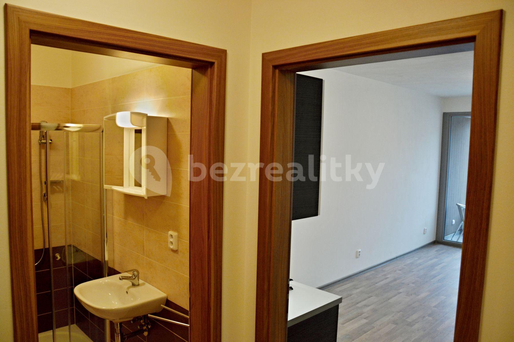 Studio flat to rent, 33 m², Václavská, Kolín, Středočeský Region