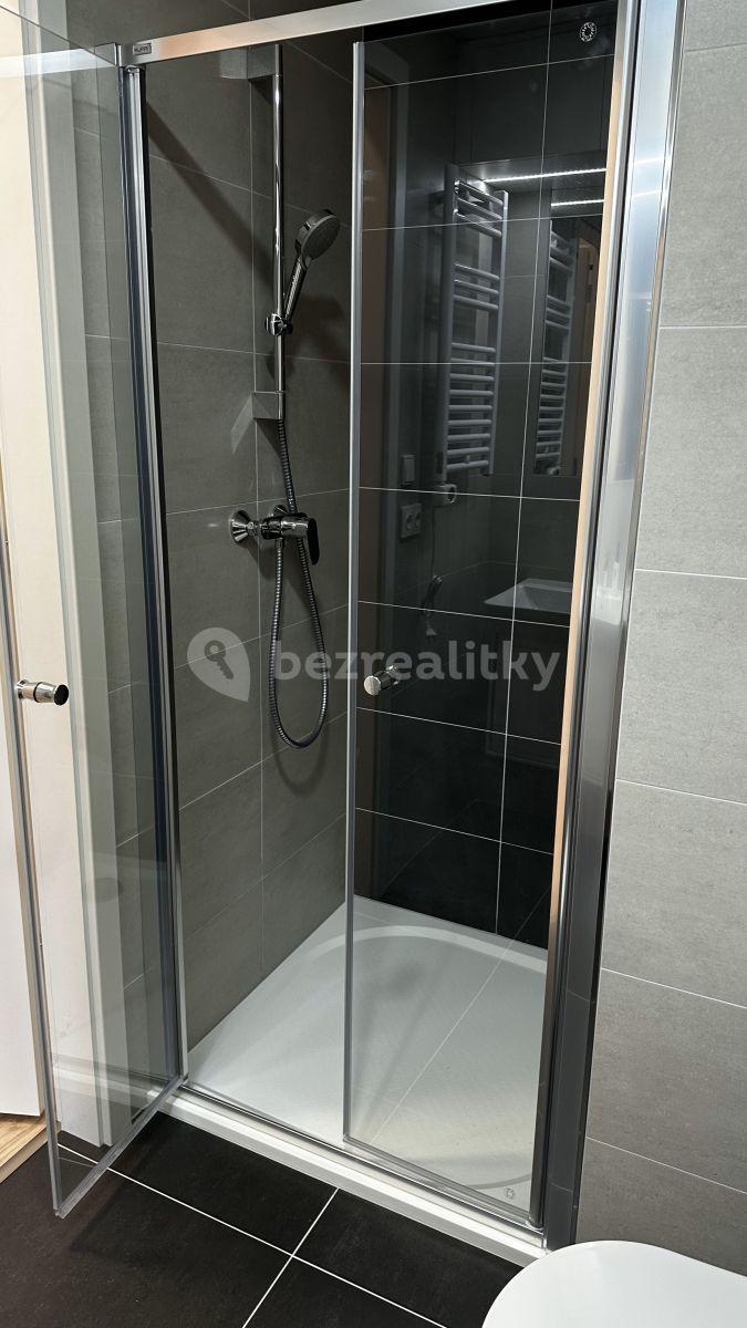 Studio flat to rent, 20 m², Mozartova, Prague, Prague