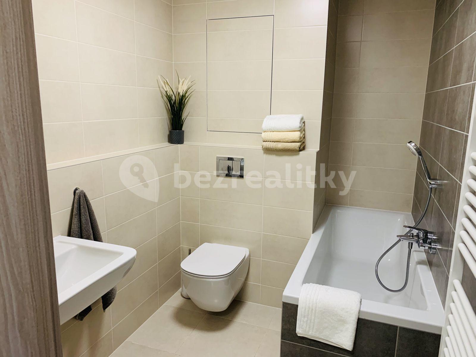 1 bedroom with open-plan kitchen flat to rent, 49 m², Oty Bubeníčka, Prague, Prague