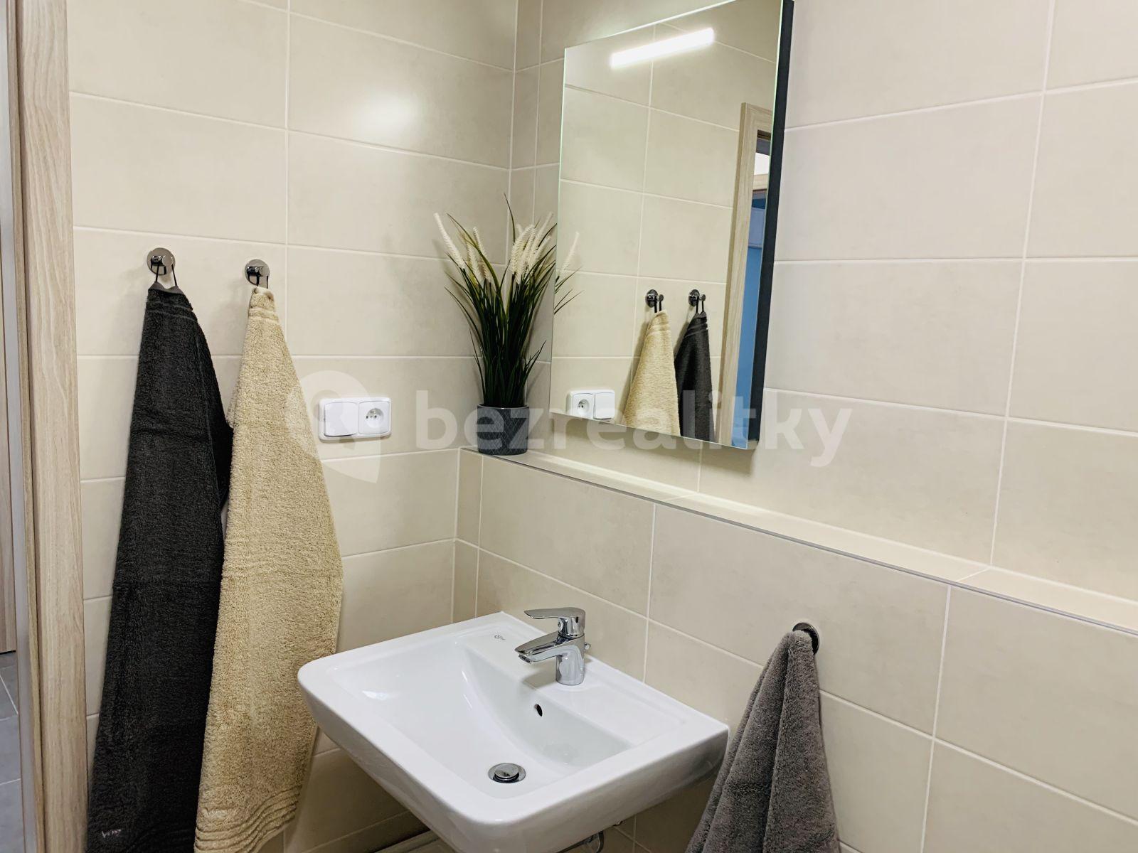 1 bedroom with open-plan kitchen flat to rent, 49 m², Oty Bubeníčka, Prague, Prague