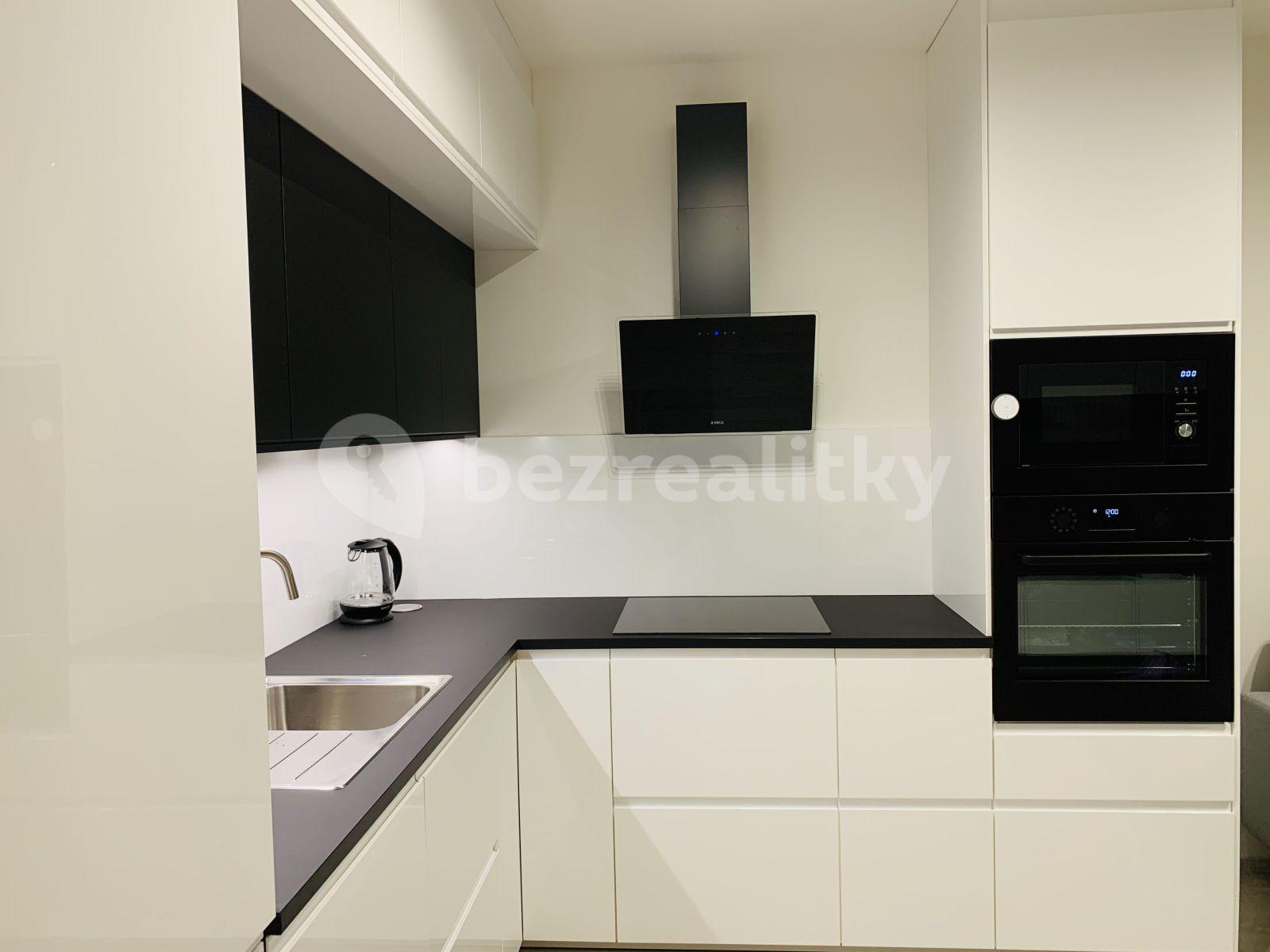 1 bedroom with open-plan kitchen flat to rent, 49 m², Oty Bubeníčka, Prague, Prague