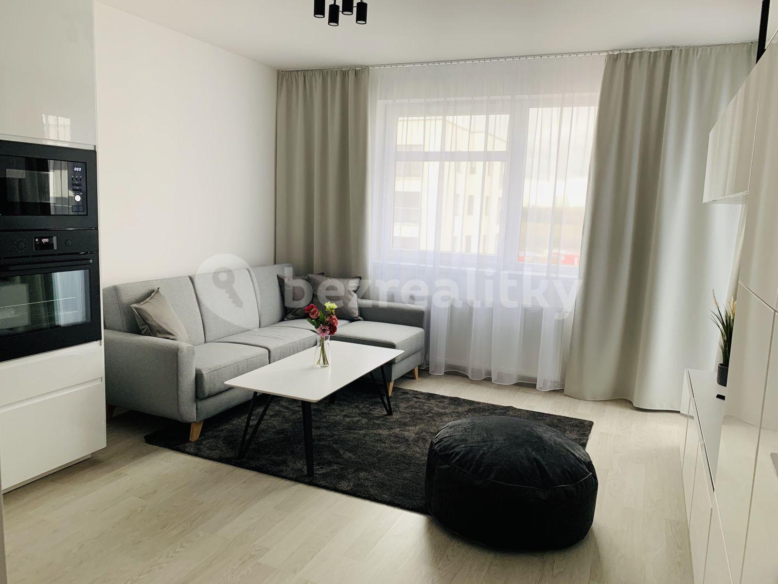 1 bedroom with open-plan kitchen flat to rent, 49 m², Oty Bubeníčka, Prague, Prague