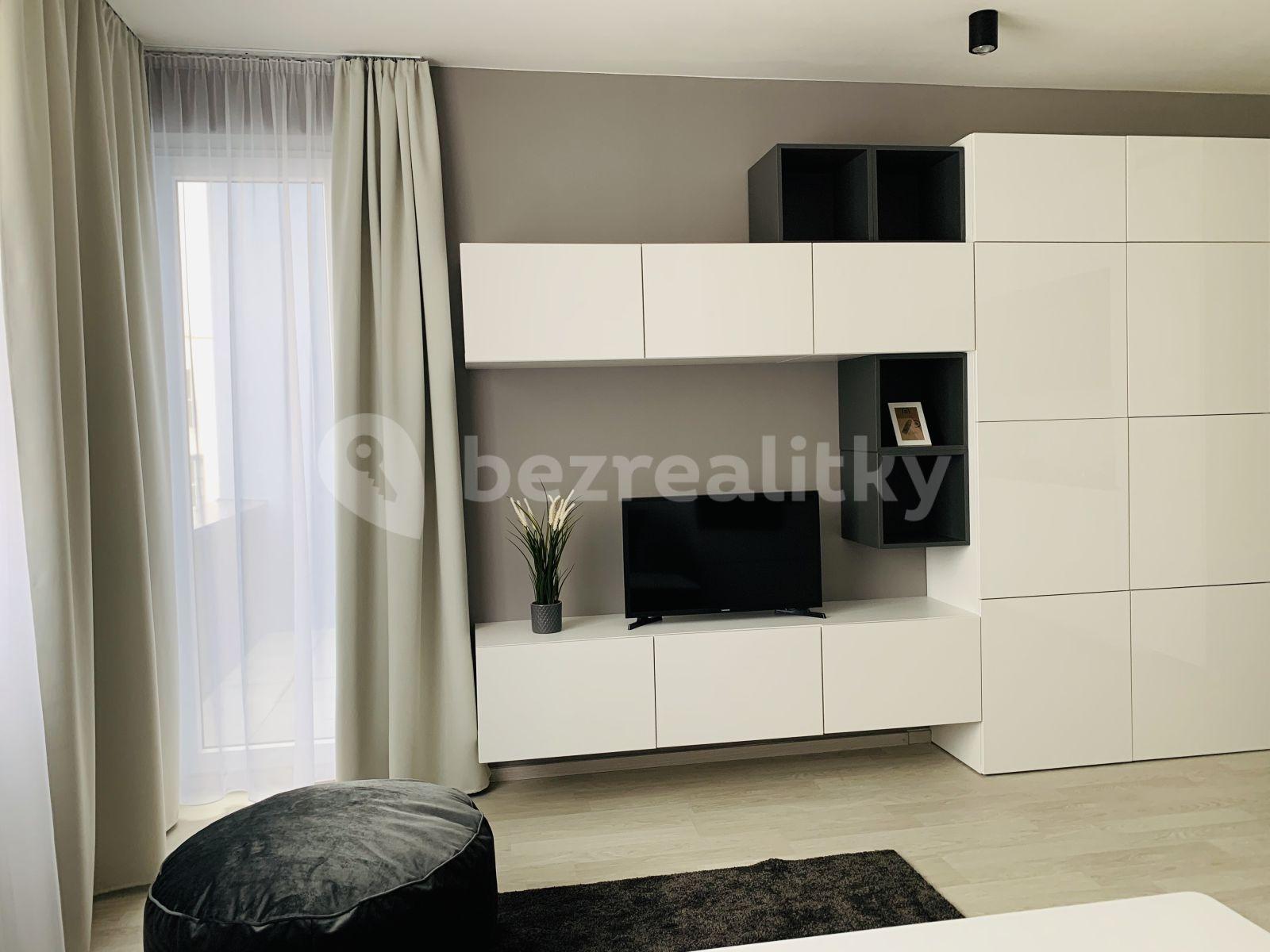 1 bedroom with open-plan kitchen flat to rent, 49 m², Oty Bubeníčka, Prague, Prague