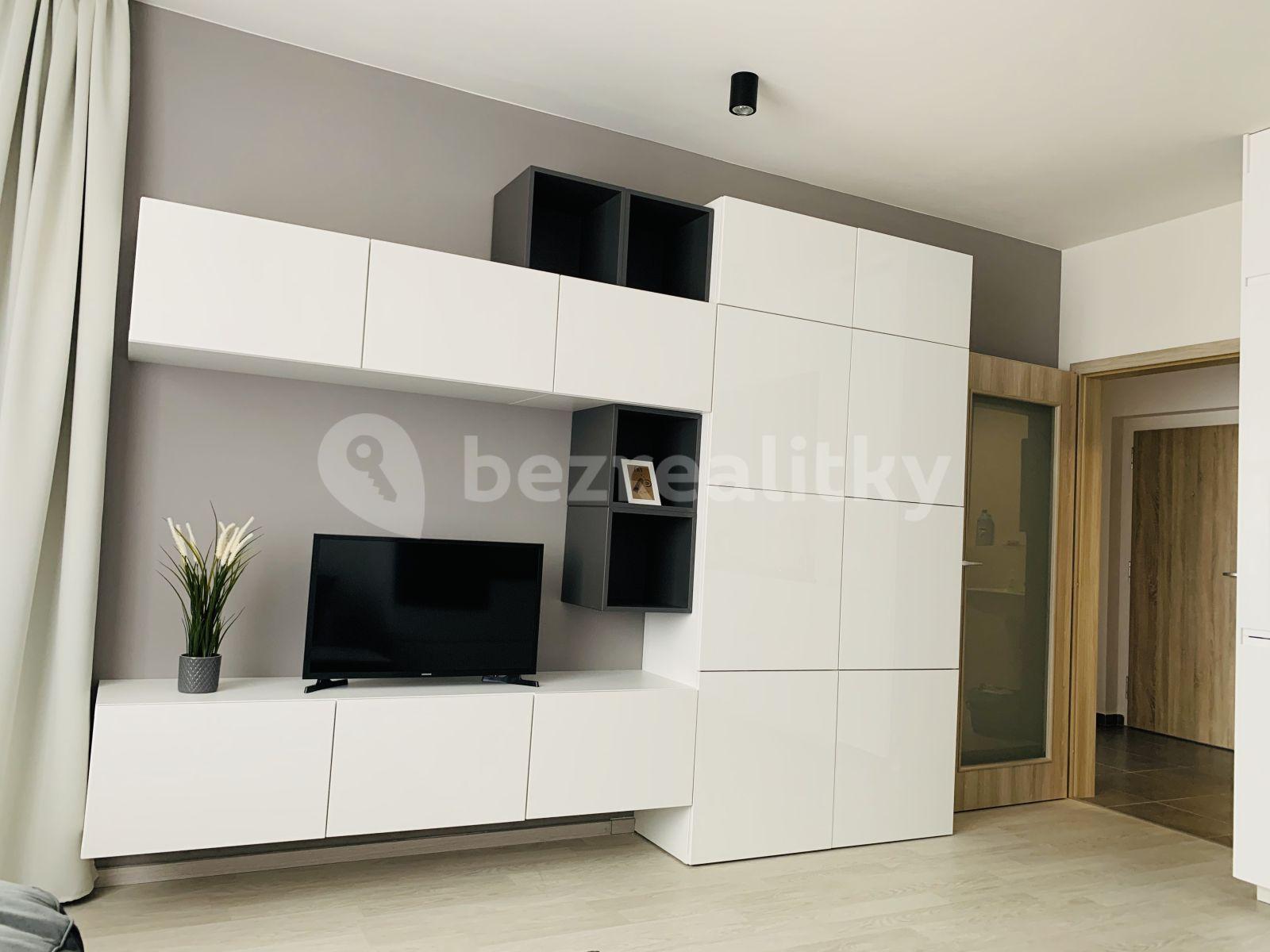 1 bedroom with open-plan kitchen flat to rent, 49 m², Oty Bubeníčka, Prague, Prague