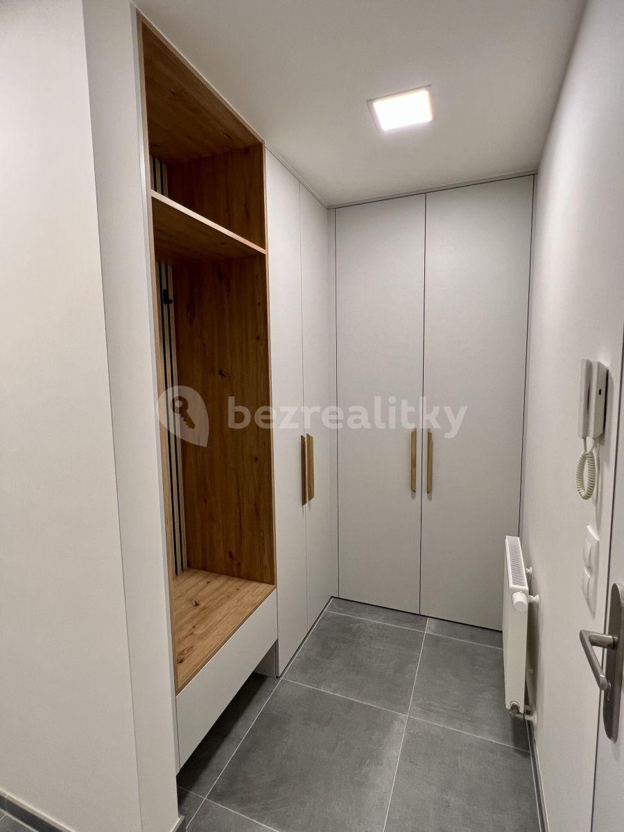 1 bedroom with open-plan kitchen flat to rent, 57 m², Františka Kadlece, Prague, Prague