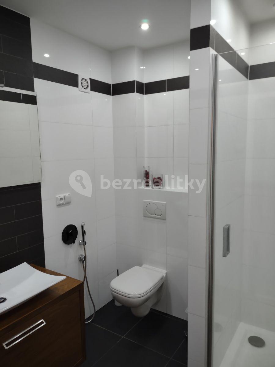 1 bedroom with open-plan kitchen flat to rent, 63 m², K. Čapka, Karlovy Vary, Karlovarský Region