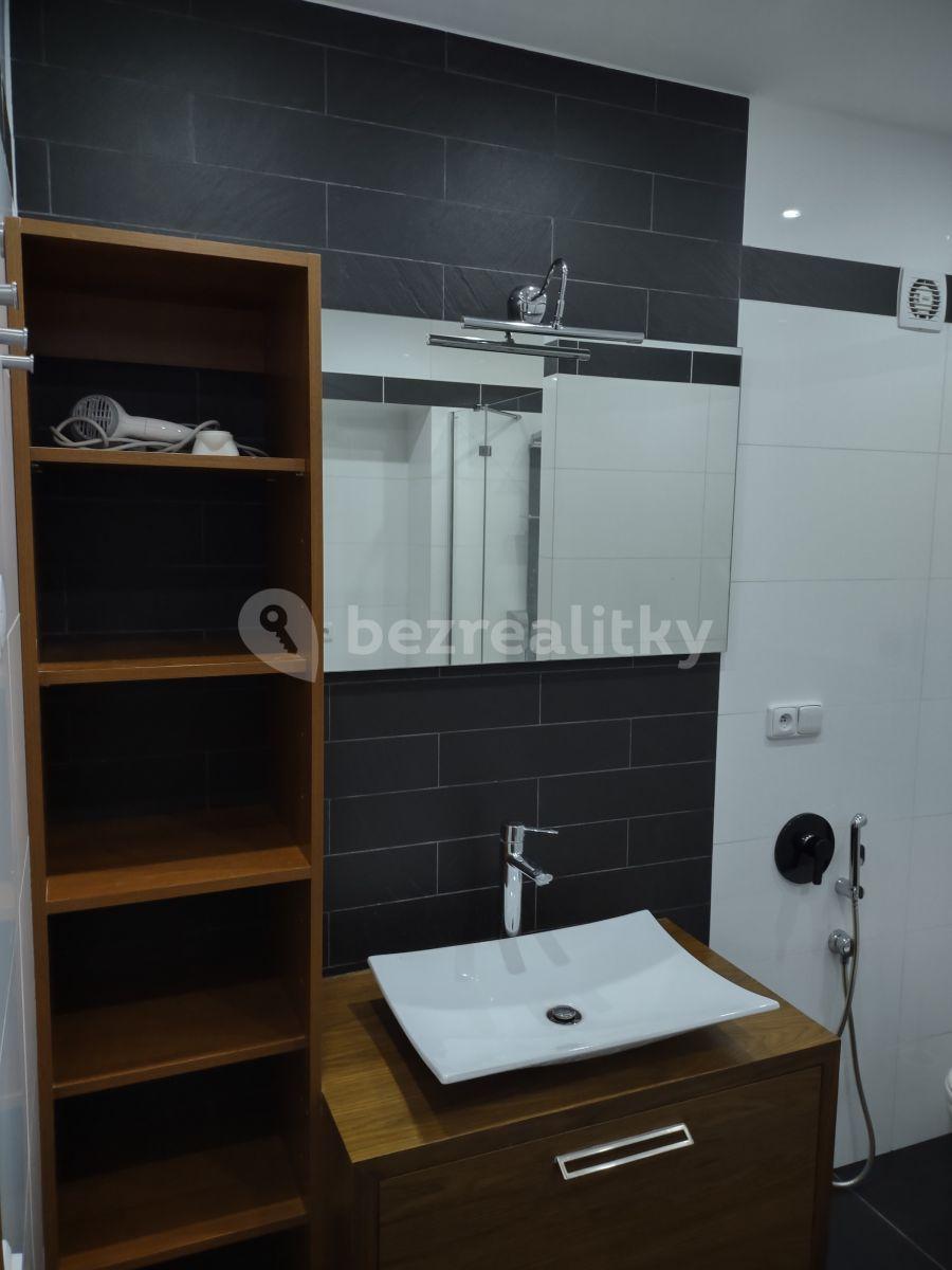 1 bedroom with open-plan kitchen flat to rent, 63 m², K. Čapka, Karlovy Vary, Karlovarský Region