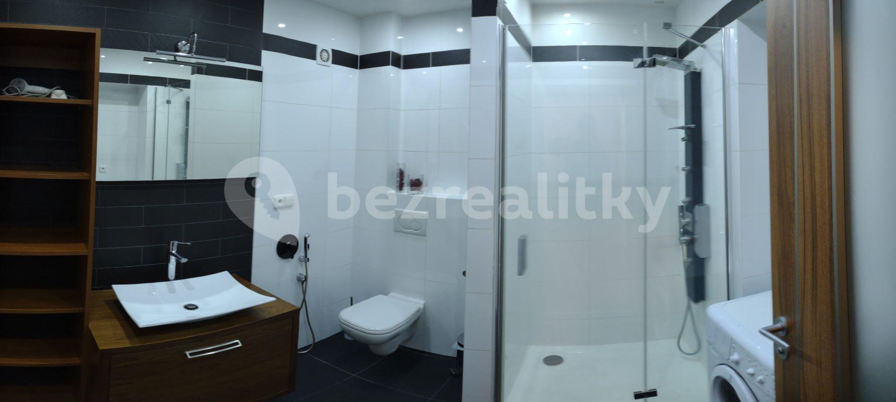 1 bedroom with open-plan kitchen flat to rent, 63 m², K. Čapka, Karlovy Vary, Karlovarský Region