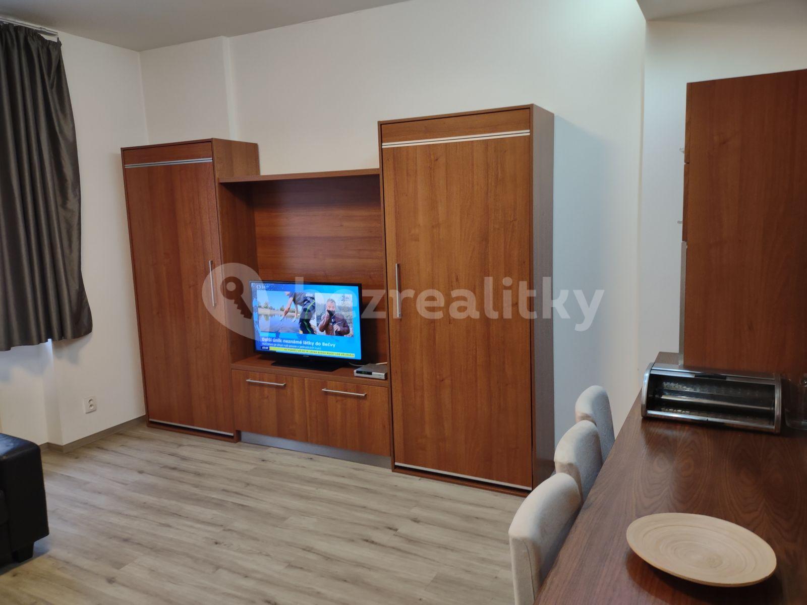 1 bedroom with open-plan kitchen flat to rent, 63 m², K. Čapka, Karlovy Vary, Karlovarský Region