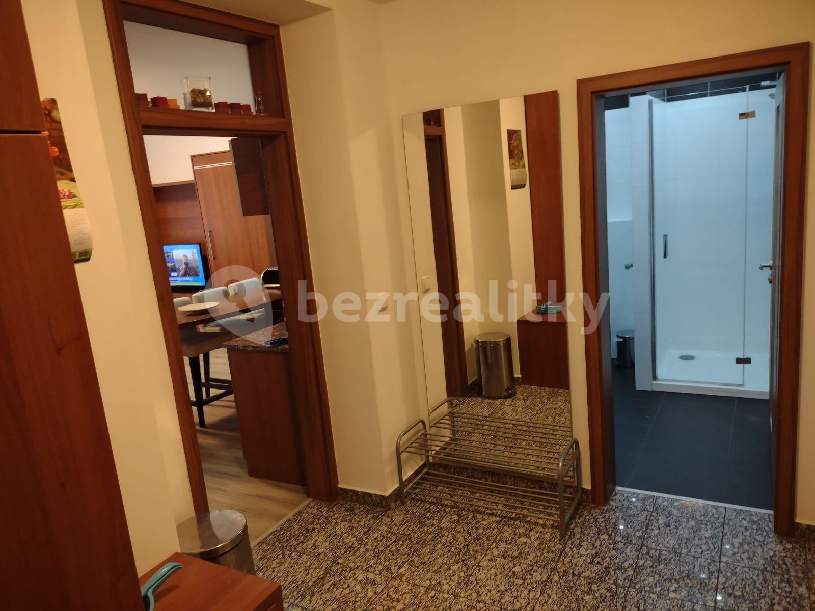 1 bedroom with open-plan kitchen flat to rent, 63 m², K. Čapka, Karlovy Vary, Karlovarský Region