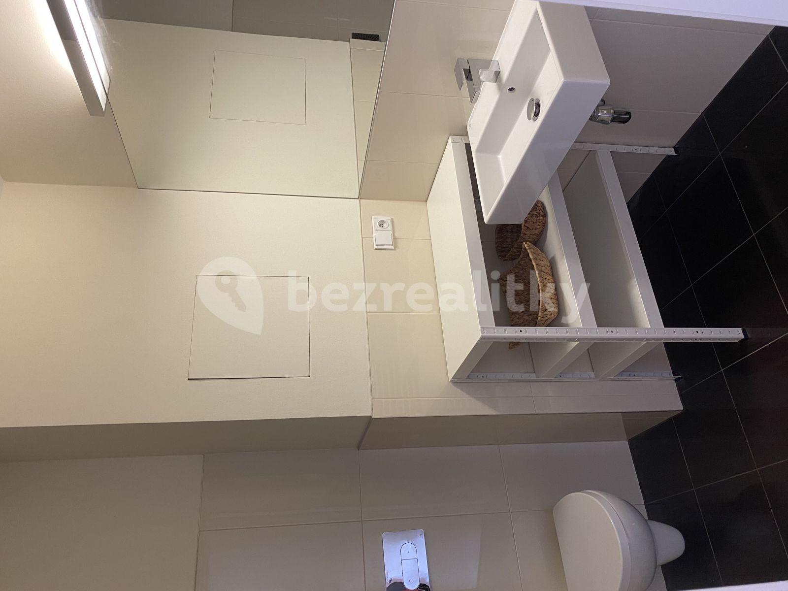 2 bedroom with open-plan kitchen flat to rent, 63 m², Silurská, Prague, Prague