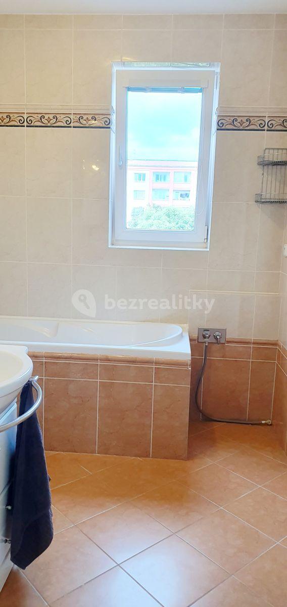 1 bedroom with open-plan kitchen flat to rent, 52 m², Mikanova, Prague, Prague